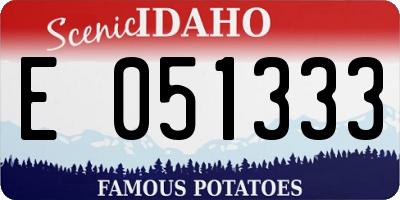 ID license plate E051333