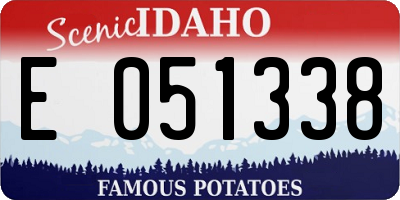 ID license plate E051338