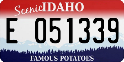 ID license plate E051339