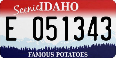 ID license plate E051343