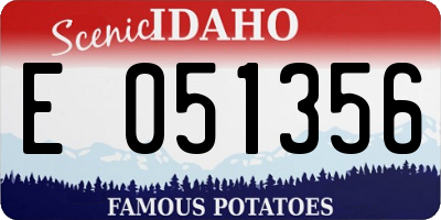 ID license plate E051356