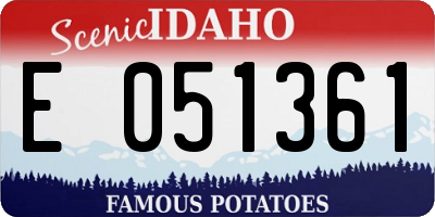 ID license plate E051361