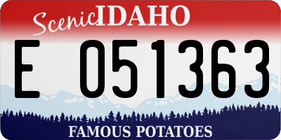 ID license plate E051363