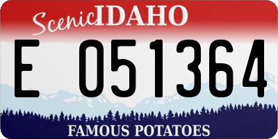 ID license plate E051364
