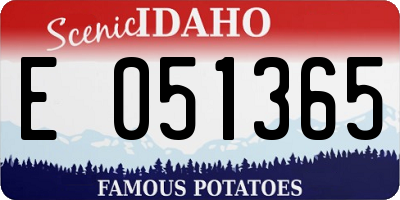 ID license plate E051365
