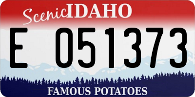 ID license plate E051373