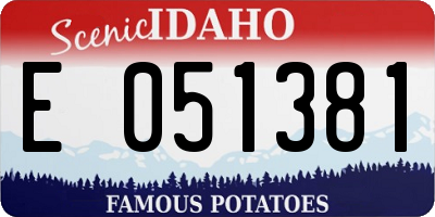 ID license plate E051381