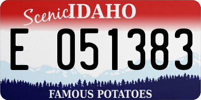 ID license plate E051383