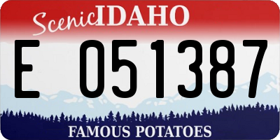ID license plate E051387