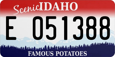 ID license plate E051388