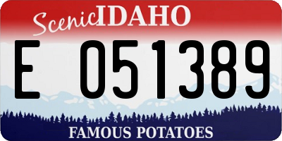 ID license plate E051389