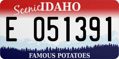 ID license plate E051391