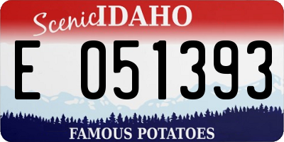 ID license plate E051393