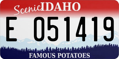 ID license plate E051419