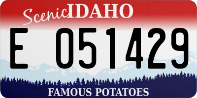 ID license plate E051429