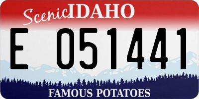 ID license plate E051441