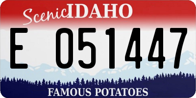 ID license plate E051447