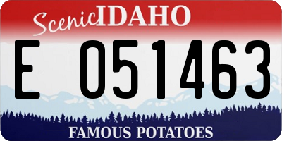 ID license plate E051463