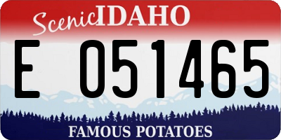 ID license plate E051465