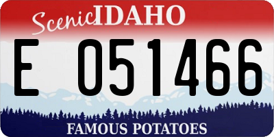 ID license plate E051466