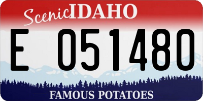 ID license plate E051480
