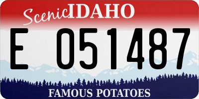 ID license plate E051487