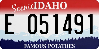 ID license plate E051491