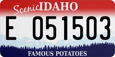 ID license plate E051503