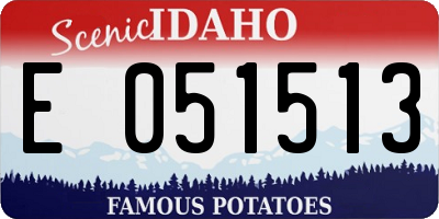 ID license plate E051513