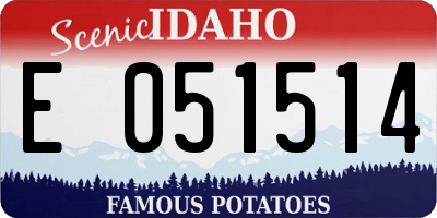 ID license plate E051514