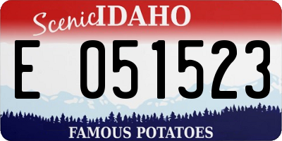 ID license plate E051523