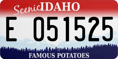 ID license plate E051525