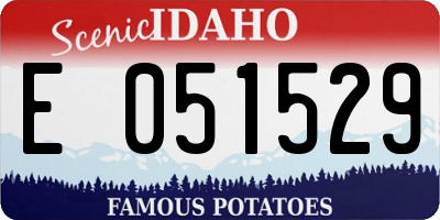 ID license plate E051529
