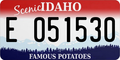 ID license plate E051530