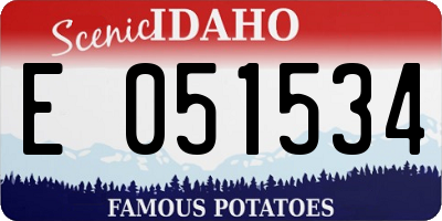 ID license plate E051534