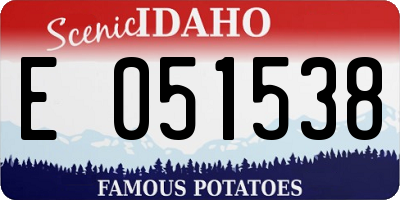 ID license plate E051538