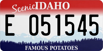 ID license plate E051545