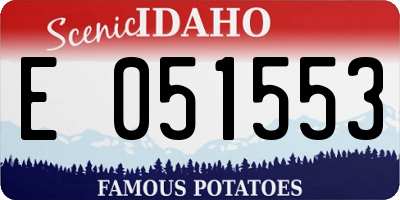 ID license plate E051553