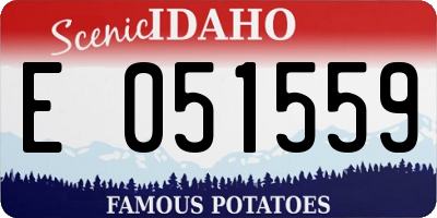 ID license plate E051559