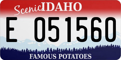 ID license plate E051560