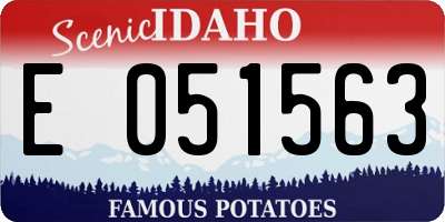 ID license plate E051563