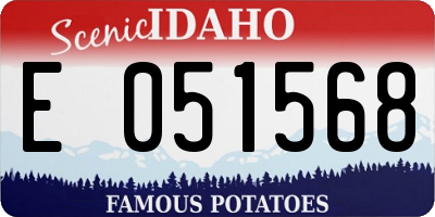 ID license plate E051568