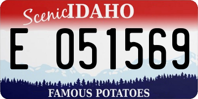 ID license plate E051569