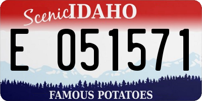 ID license plate E051571