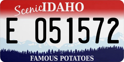 ID license plate E051572