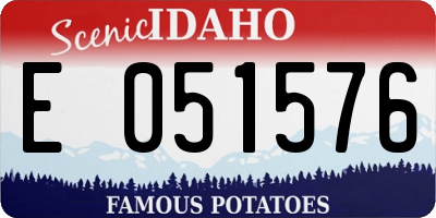 ID license plate E051576