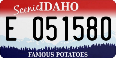 ID license plate E051580