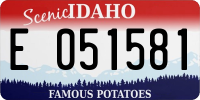 ID license plate E051581