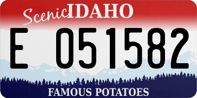 ID license plate E051582