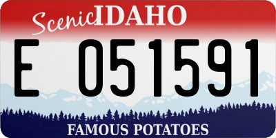 ID license plate E051591